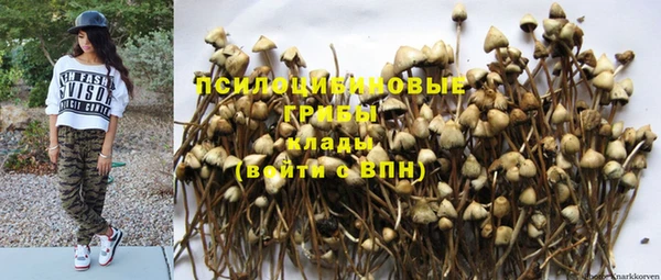 не бодяженный Алексин
