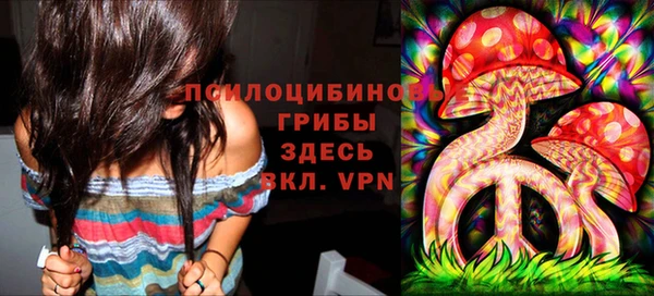 не бодяженный Алексин